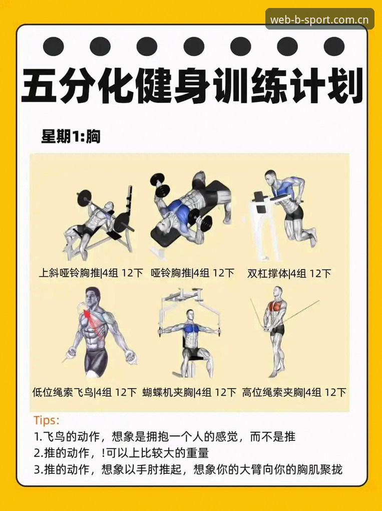 bsport体育用户体验 提升使用效率的5个关键:从bsport体育用户体验出发的实操指南